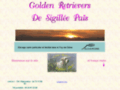 Consultez la Fiche : Golden Retrievers de Sigillée Païs