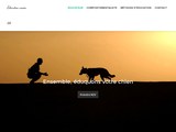 Consultez la Fiche : Comportementaliste canin & éducateur pour chiens