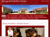 Consultez la Fiche : Éleveur de Yorkshire, vente de chiots Yorkshire, élevage de chiot Yorkshire inscrit au LOF : Oki Square Kennel