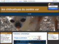 Consultez la Fiche : les chihuahuas du centre var