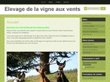 Consultez la Fiche : Elevage de la vigne aux vents