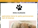 Consultez la Fiche : Mini ourson