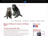 Consultez la Fiche : Shar pei, élevage du Domaine de Sharpei Diem