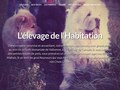 Consultez la Fiche : L'élevage de l'Habitation