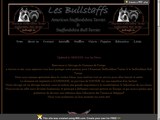 Consultez la Fiche : Les Bullstaffs