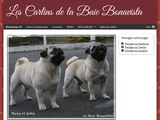 Consultez la Fiche : Bienvenue !!!! - www.baiebonavistacarlins.fr