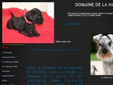 Consultez la Fiche : Schnauzers géants et nains