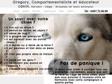 Consultez la Fiche : Gregory Comportementaliste et Educateur Canin