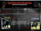 Consultez la Fiche : DOMAINE DES BLACKFEUX