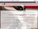 Consultez la Fiche : élevage de chihuahua