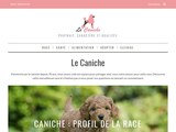 Consultez la Fiche : Le Caniche du Petit Lord