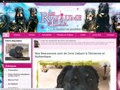 Consultez la Fiche : Elevage de BEAUCERONS du Royaume d'Elsa