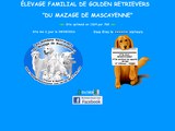 Consultez la Fiche : Elevage Golden Retriever Du Mazage De Mascayenne