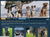 Consultez la Fiche : Education canine, Ecole du chiot, Agility, Sauvetage | A'Croc Chien 74