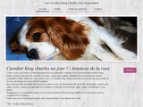 Consultez la Fiche : les cavalier king charles des angenoise