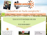 Consultez la Fiche : EDUCATION CANINE 31