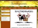 Consultez la Fiche : SUMIDAGAWASOU